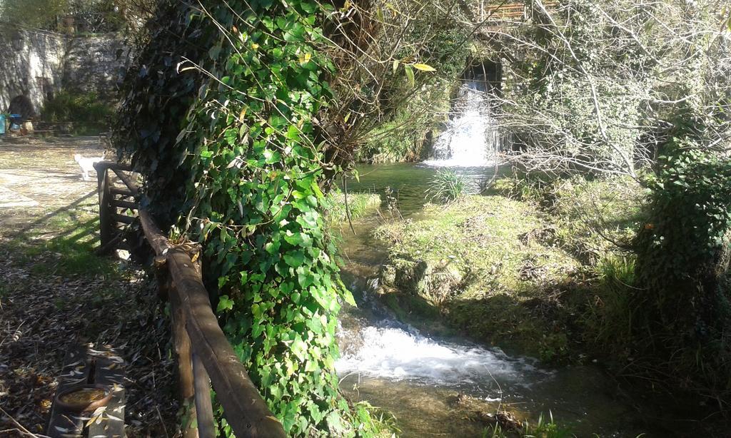 فيلا Castel Madamaفي L'Antica Mola الغرفة الصورة
