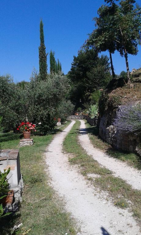 فيلا Castel Madamaفي L'Antica Mola الغرفة الصورة